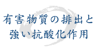 有害物質の排出と強い抗酸化作用